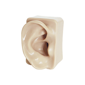 Modelo de oreja hecho de material de color piel y flexible en tamaño original.                                                                                                                                                                            